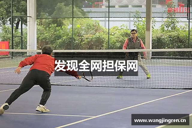 发现全网担保网